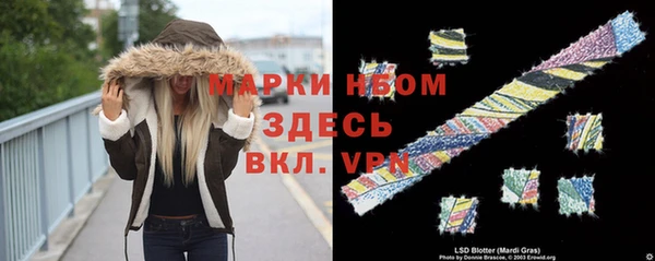 ALPHA PVP Новозыбков