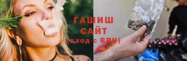 apvp Няндома