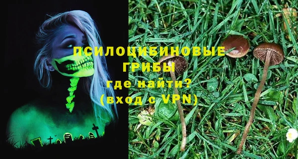 мдпв Цивильск