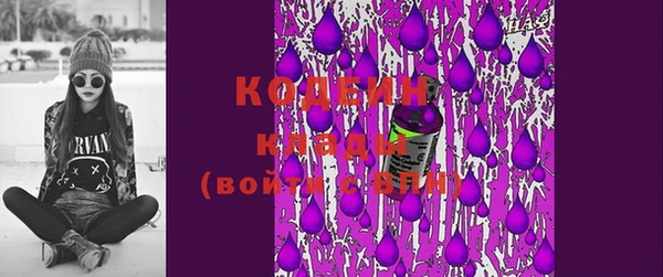 apvp Няндома