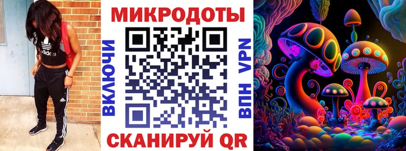 хочу наркоту  Чистополь  Галлюциногенные грибы Psilocybe 