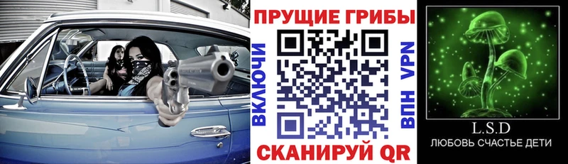 Галлюциногенные грибы Psilocybine cubensis Чистополь
