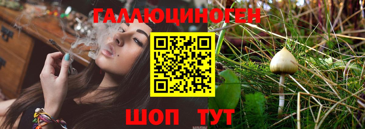 Чистополь  Псилоцибиновые грибы Cubensis  Псилоцибиновые грибы Psilocybe  Вход с VPN 
