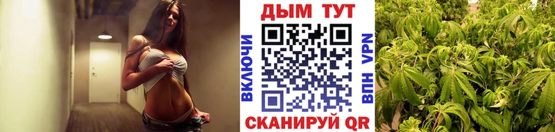купить закладку  Чистополь  Бошки Шишки марихуана 