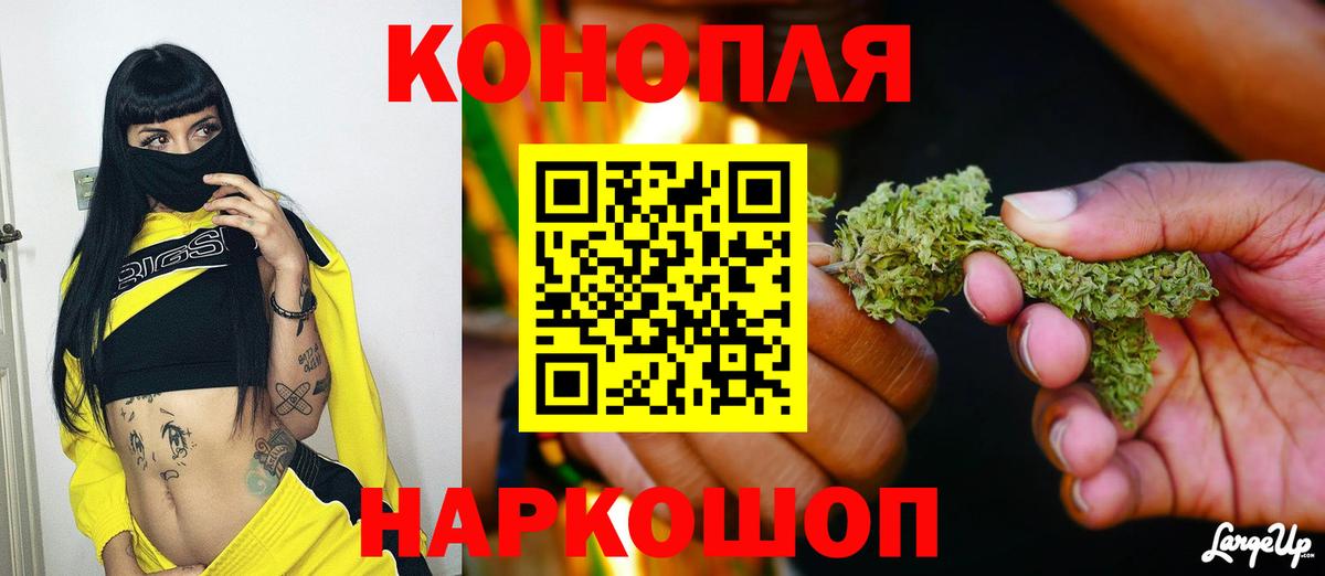 Бошки марихуана планчик Чистополь